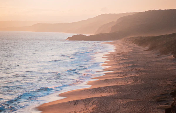 Coastal_600px_fc6420ec-a15b-4bff-a08c-b03564f18860_x700